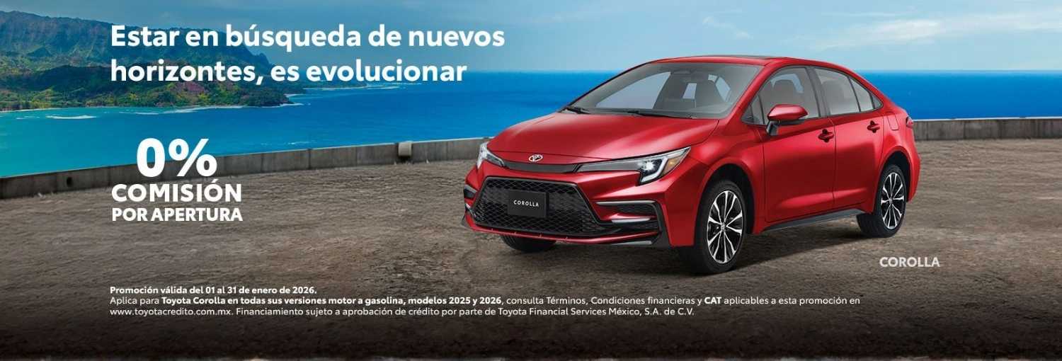 Promociones Enero 2026